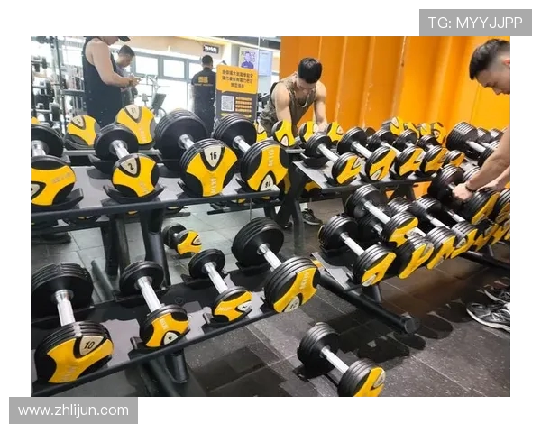 预算内优选：必确高性价比健身器材推荐