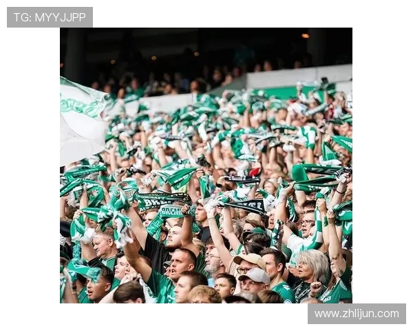 德甲球队球迷排行：德甲球队球迷的排名与支持力度